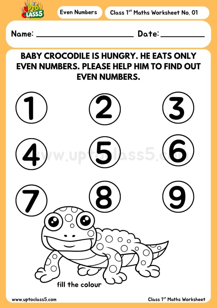 1st Class Maths Even number Worksheet no. 5-image