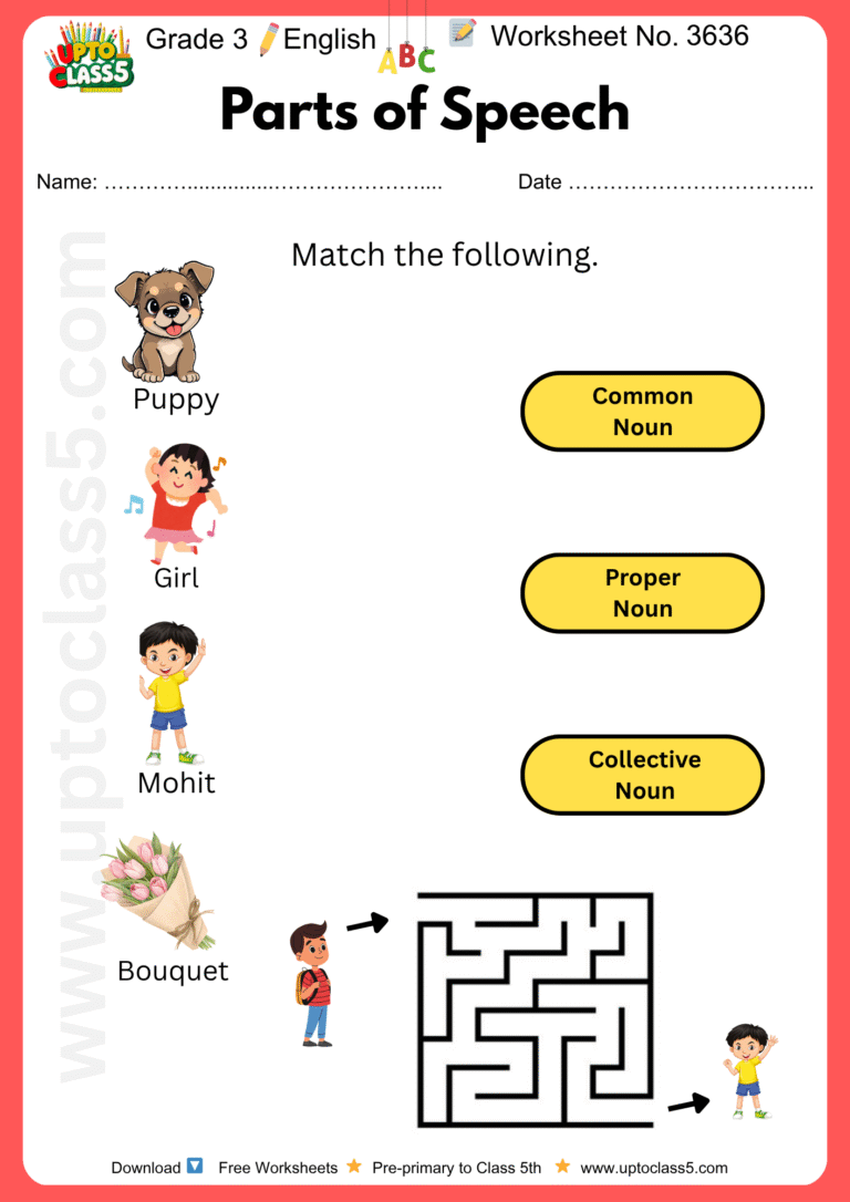 Grade 3 – English | Parts of Speech | Worksheet no. 3636 - Upto Class 5