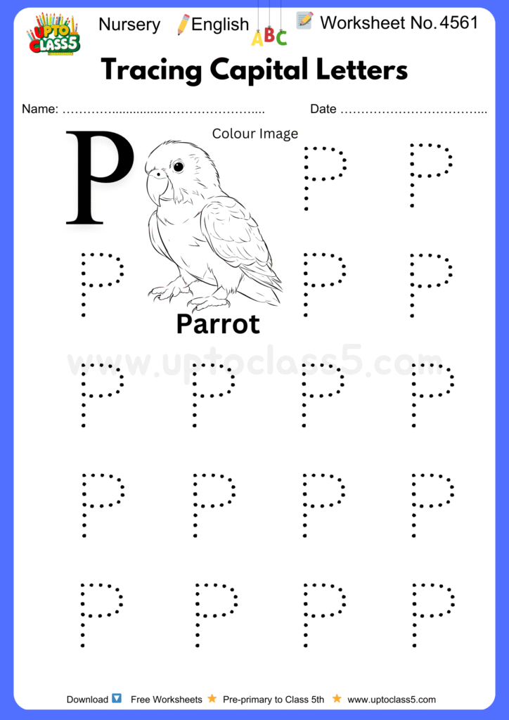 Nursery English Worksheet No 4561